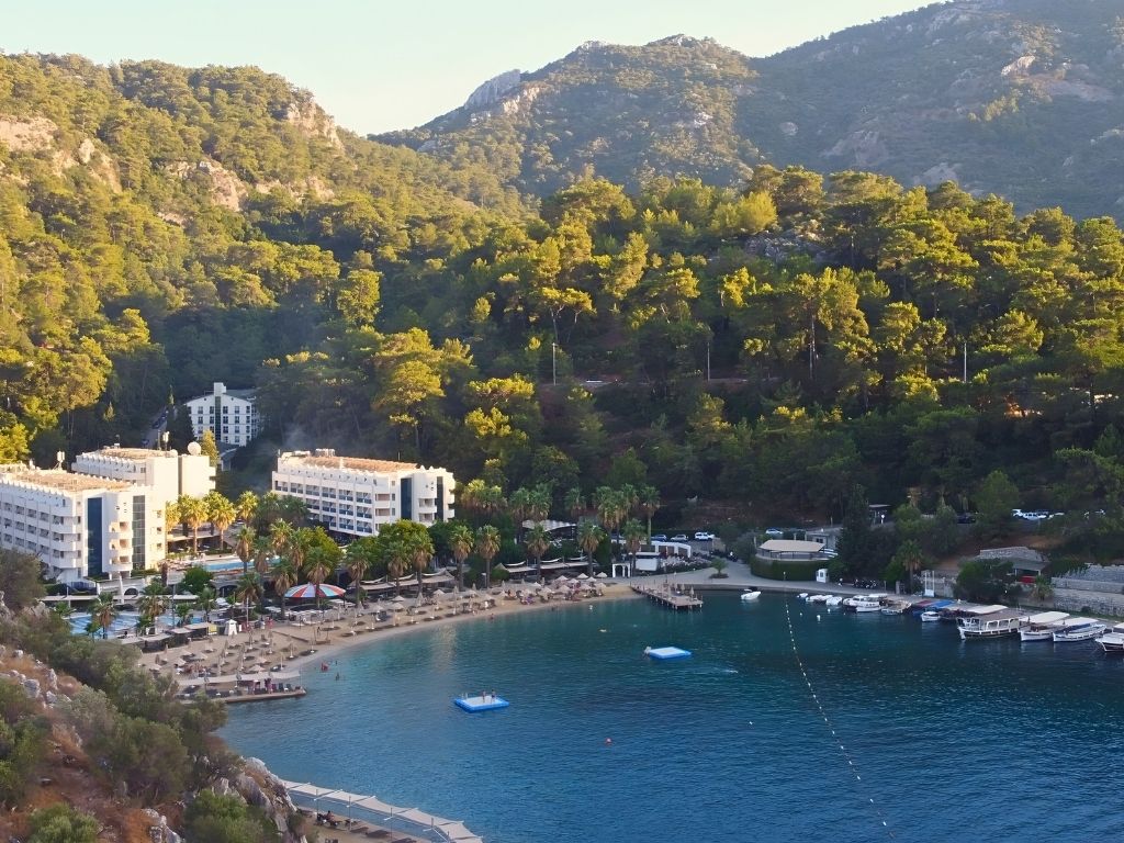 Doğanın Sesleri: Kuş Gözlemi