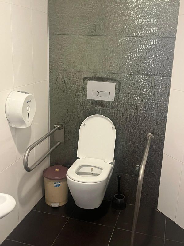 Engelli WC